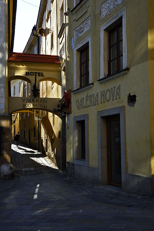 Batov ulica