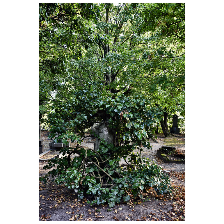 Mikulsky cintorn - Hrobka Johann Schmidthansl